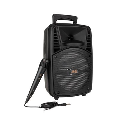 Wireless Speaker with Mic and Remote 37cm Portable Karaoke Machine for Adults & Kids