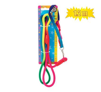 avenusa - Pet Dog-Collar + Rainbow Leash Set 1.2mx6mm - avenu.co.za - Pet Supplies