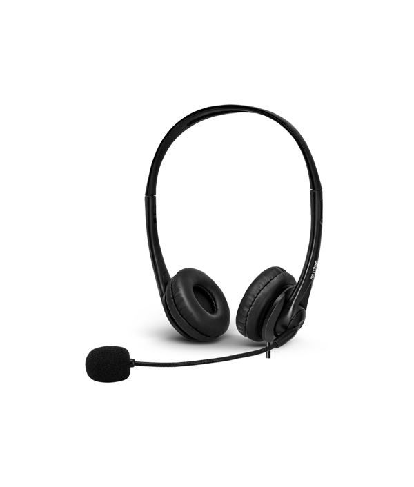 Professional USB Headset with Mic