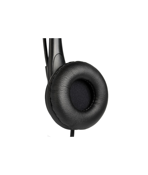 Professional USB Headset with Mic