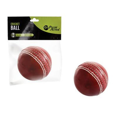 avenusa - Cricket Ball - Pulse Active Practice ball - avenu.co.za - Sports & Outdoors