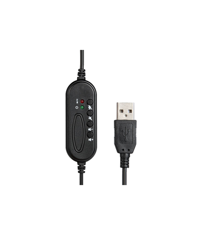 Professional USB Headset with Mic