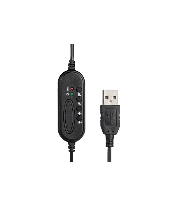Professional USB Headset with Mic