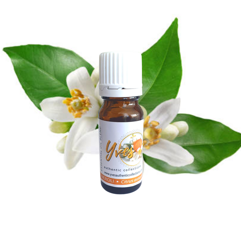 Yves Authentic Collection Aromatherapy Essential Oils Gift Set - 10ml 24 Essential Oils with 50ml Air Freshener