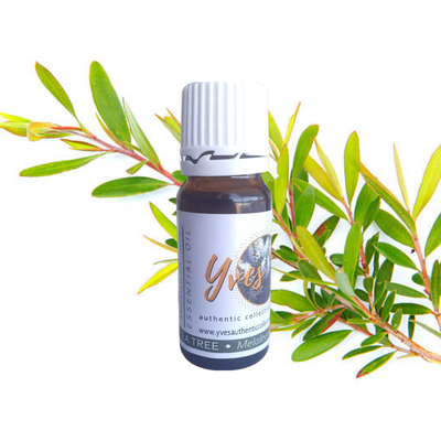 Yves Authentic Collection Aromatherapy Essential Oils Gift Set - 10ml 24 Essential Oils with 50ml Air Freshener