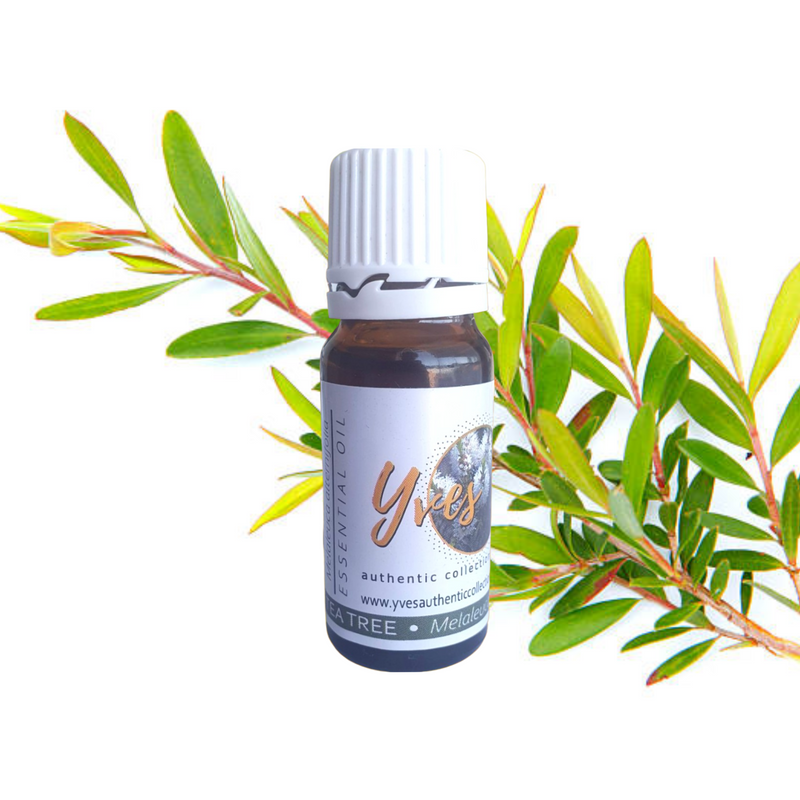 Yves Authentic Collection Aromatherapy Essential Oils Gift Set - 10ml 24 Essential Oils with 50ml Air Freshener