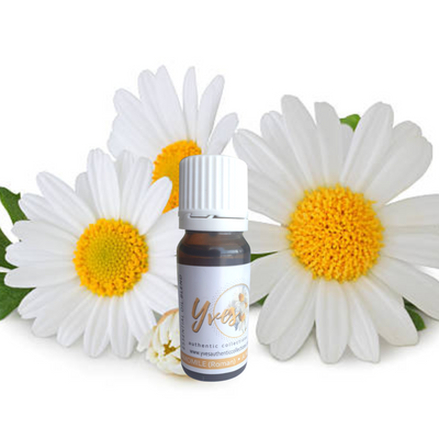 Yves Authentic Collection Aromatherapy Essential Oils Gift Set - 10ml 24 Essential Oils with 50ml Air Freshener